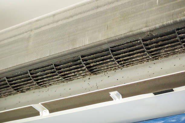 Best Affordable Air Duct Cleaning  in Collierville, CA